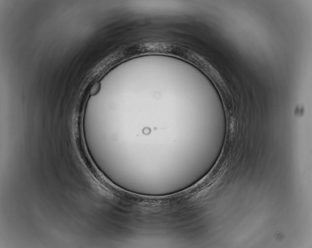 X0000101710725200807101407