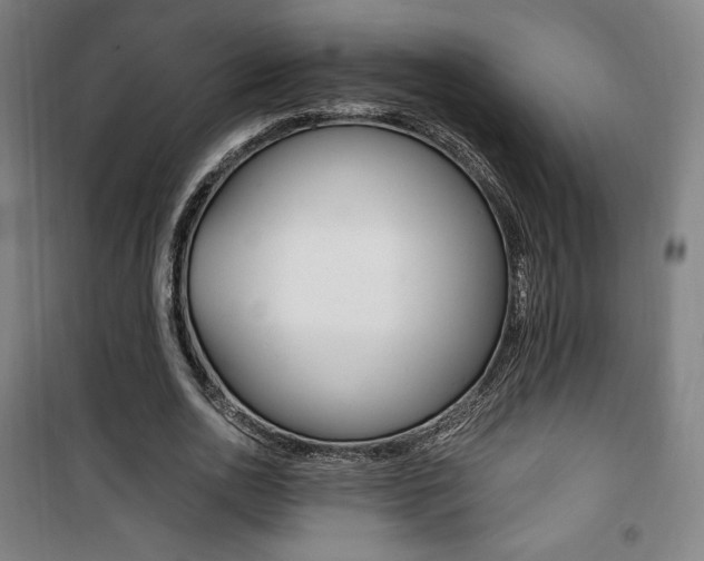 X0000101710726200807101408