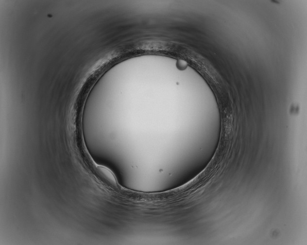 X0000101710727200807101408