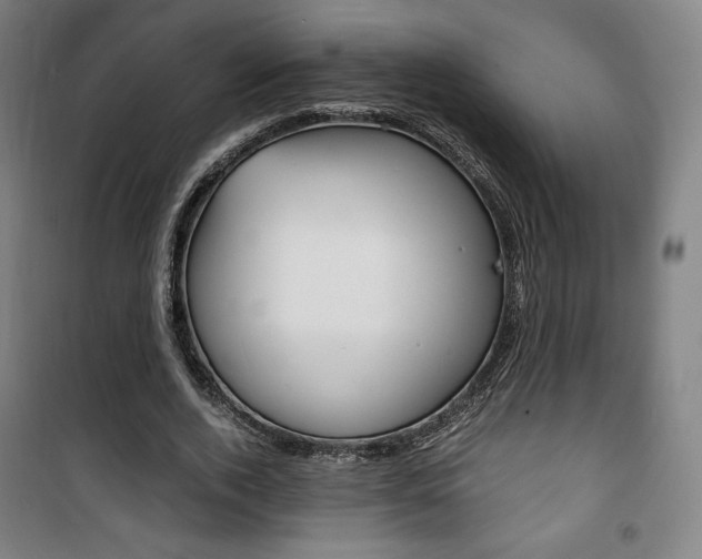 X0000101710728200807101408
