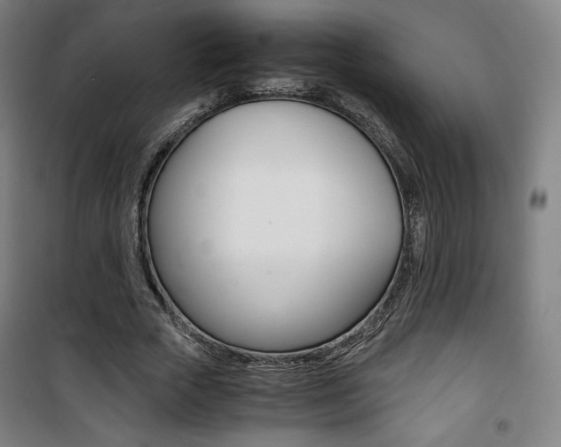 X0000101710729200807101408