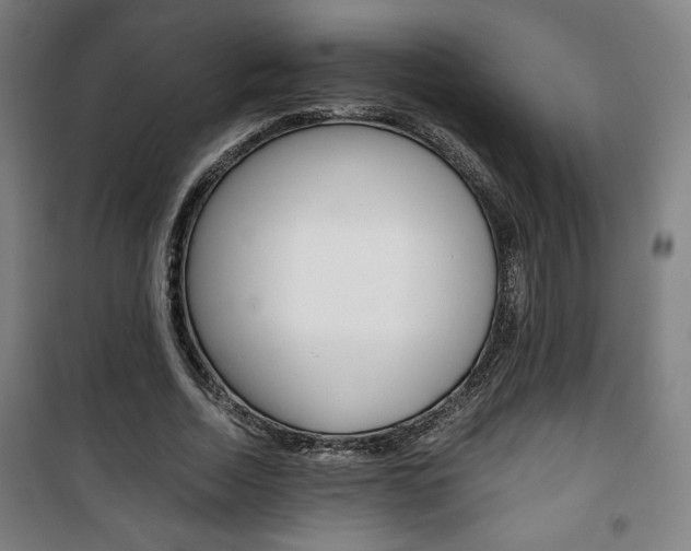 X0000101710730200807101408