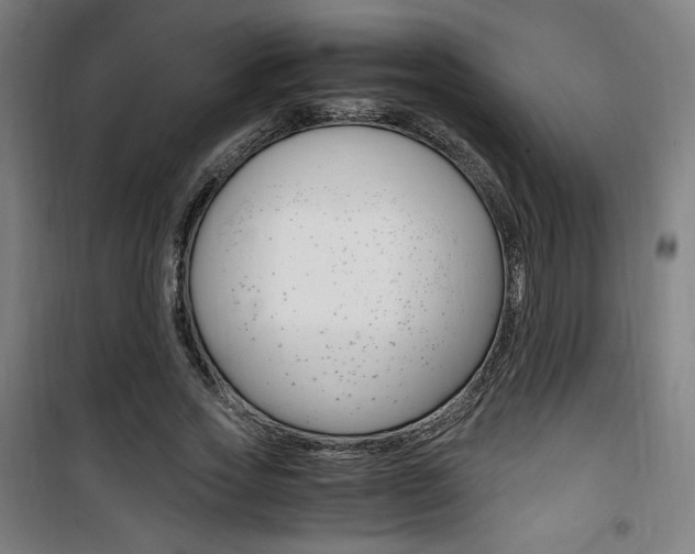 X0000101710733200807101408