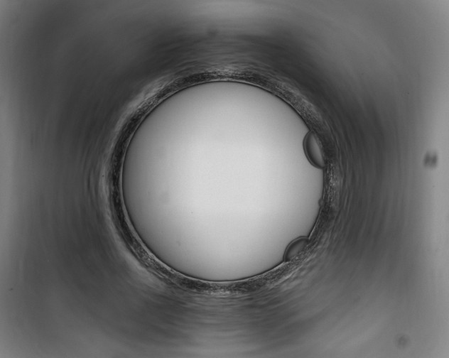 X0000101710734200807101408