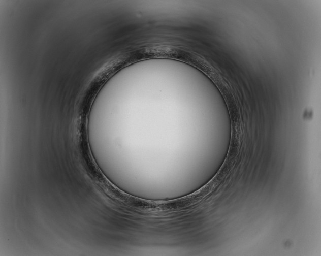 X0000101710735200807101408