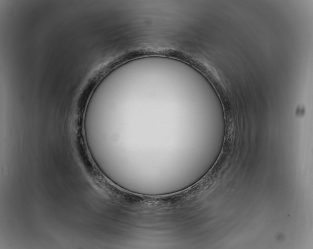 X0000101710736200807101408