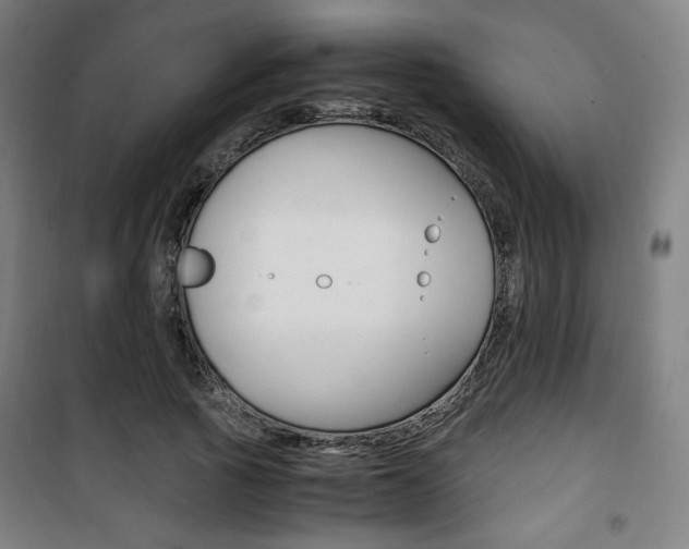 X0000101710737200807101408