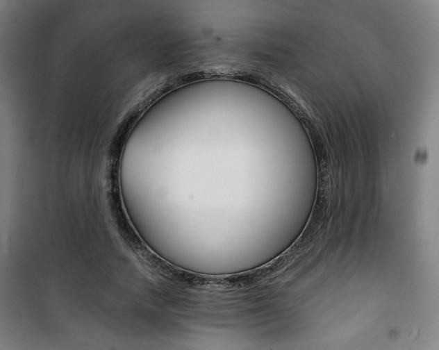 X0000101710738200807101408