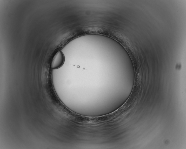 X0000101710739200807101408