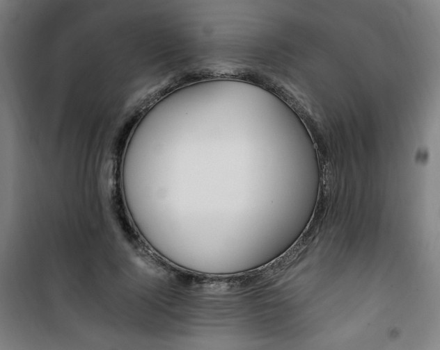 X0000101710740200807101408