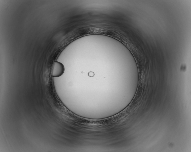 X0000101710741200807101408