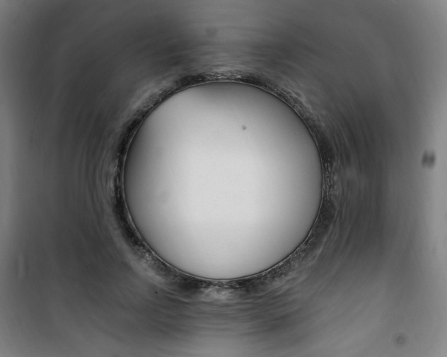 X0000101710742200807101408