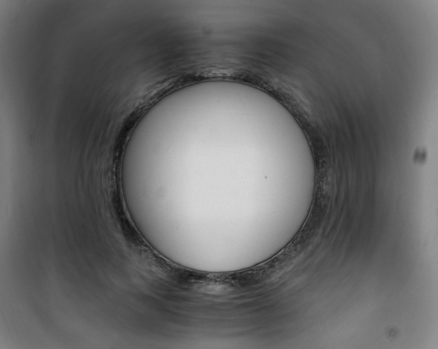 X0000101710743200807101408