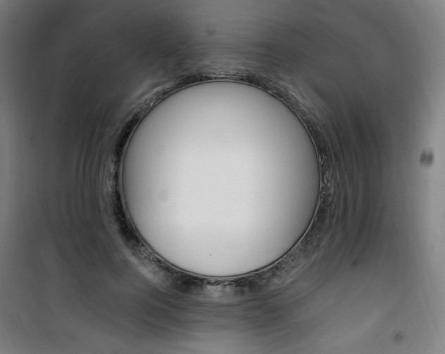 X0000101710744200807101408