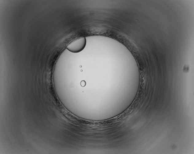 X0000101710745200807101408