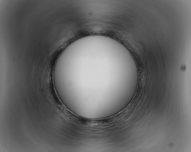 X0000101710746200807101408