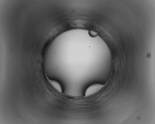 X0000101710747200807101408