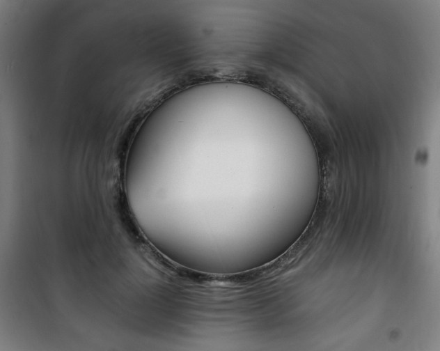 X0000101710748200807101408
