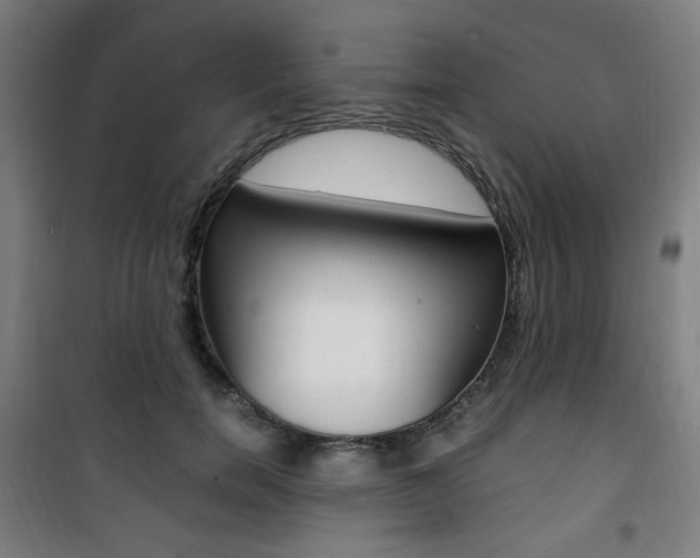X0000101710750200807101408