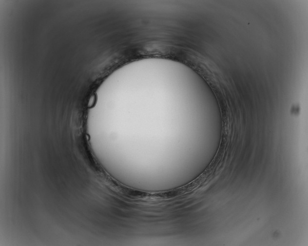 X0000101710751200807101408