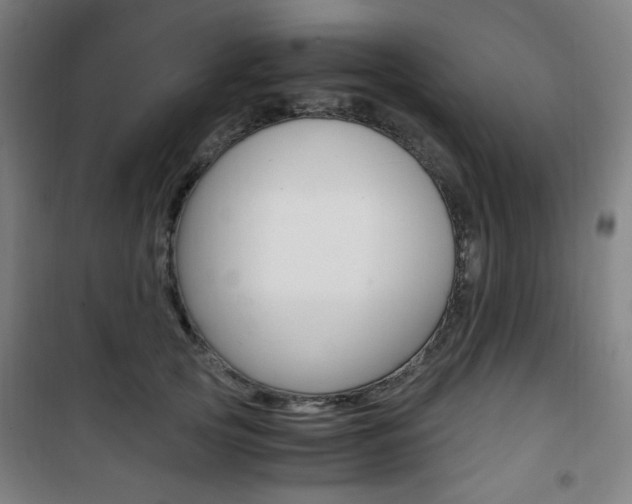 X0000101710753200807101408