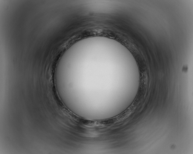 X0000101710754200807101408