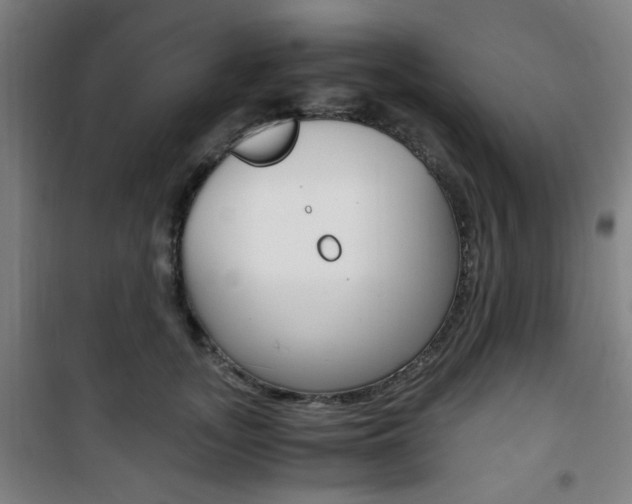 X0000101710755200807101408