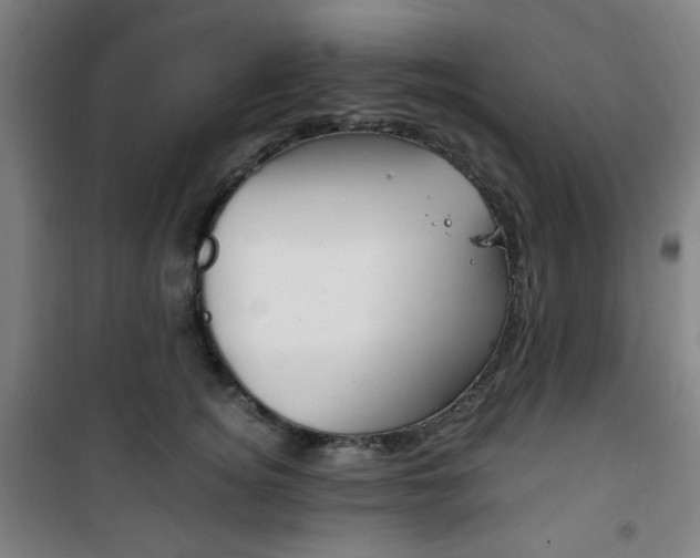 X0000101710756200807101408