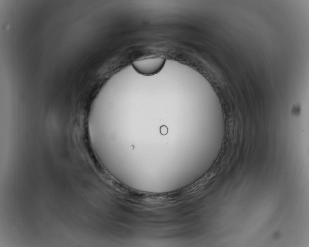 X0000101710757200807101408