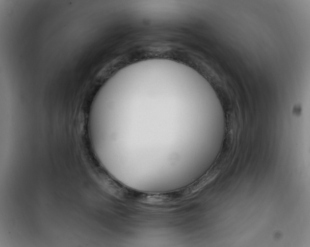 X0000101710758200807101408