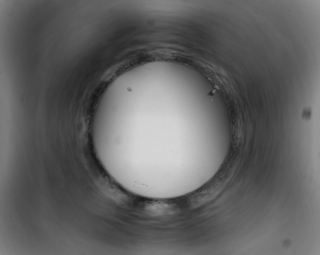 X0000101710759200807101408
