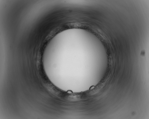 X0000101710760200807101408