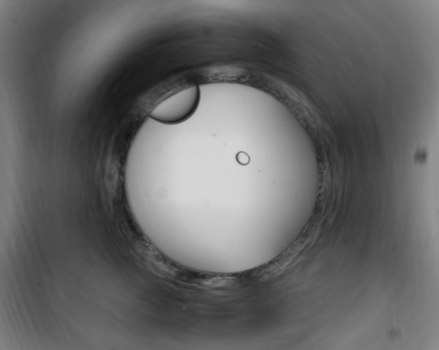 X0000101710761200807101408