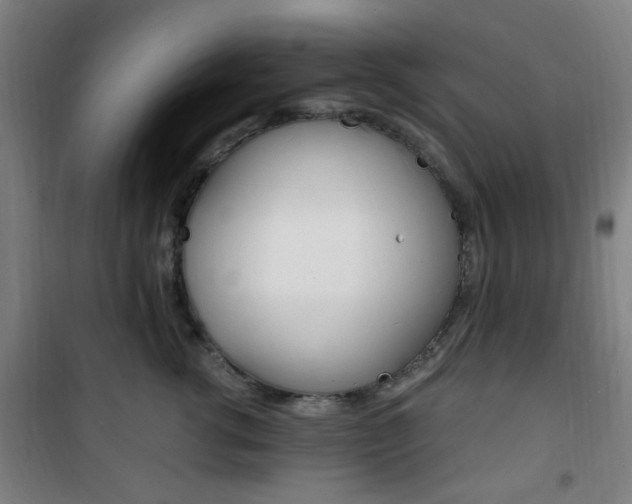 X0000101710762200807101408