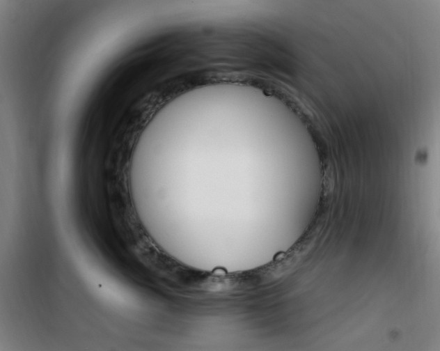 X0000101710764200807101408