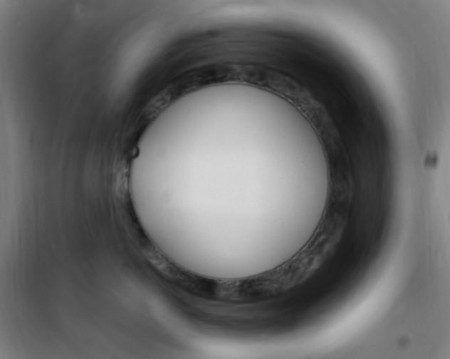 X0000101710766200807101408