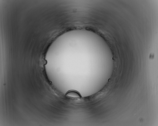 X0000101710768200807101408