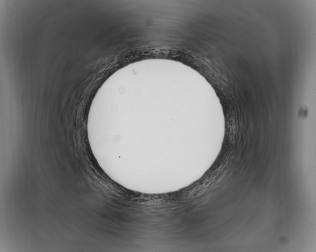 X0000101710769200807101407