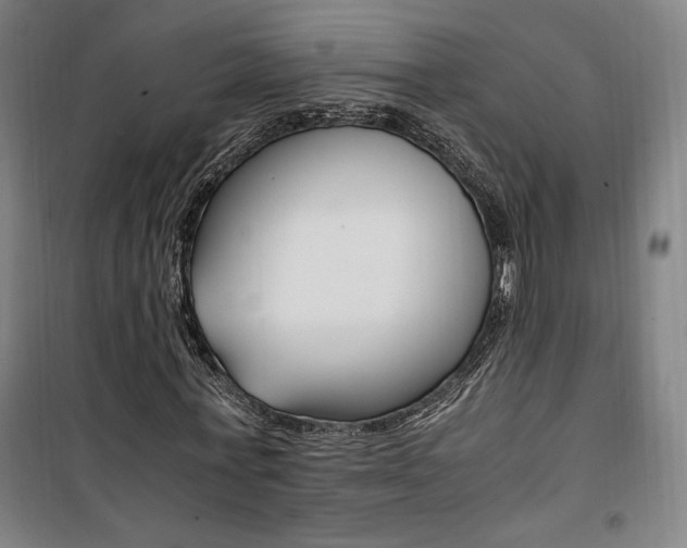 X0000101710771200807101407