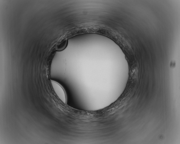 X0000101710772200807101407