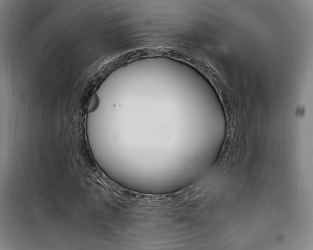 X0000101710773200807101407