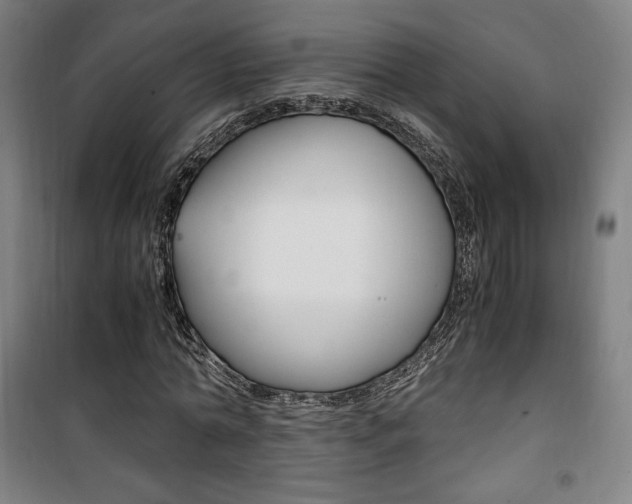 X0000101710774200807101407