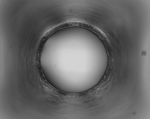 X0000101710775200807101407