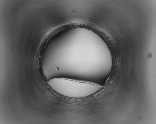 X0000101710776200807101407
