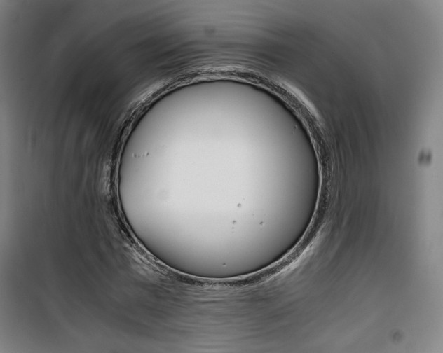 X0000101710777200807101407
