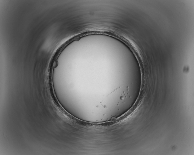 X0000101710779200807101407