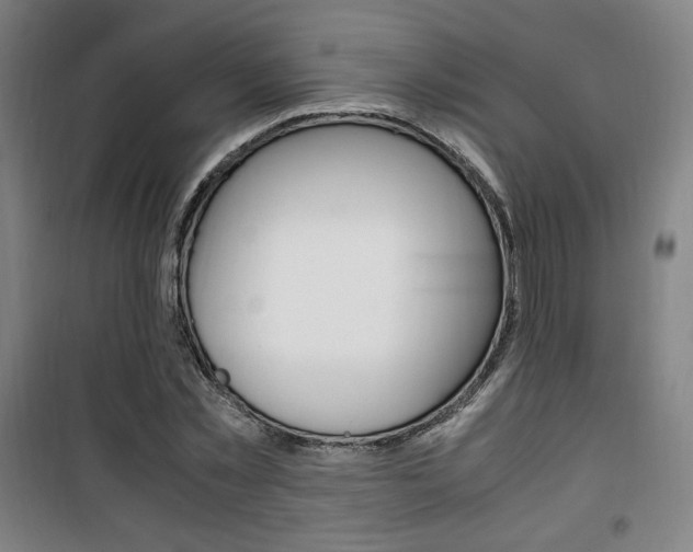 X0000101710781200807101407