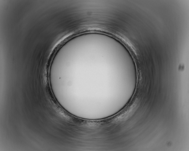 X0000101710782200807101407