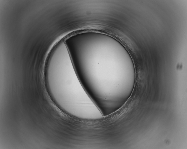 X0000101710784200807101407