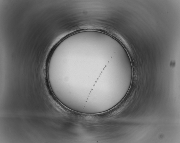 X0000101710787200807101407
